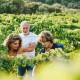 CORSE IGP Île de beauté Domaine Sant'Armettu Cuvée Mino blanc 2022